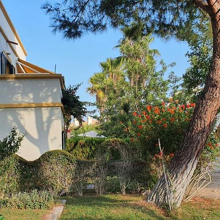 Nice 2 Bedroom Apartment Groundfloor Swimming Pool Тавира Экстерьер фото